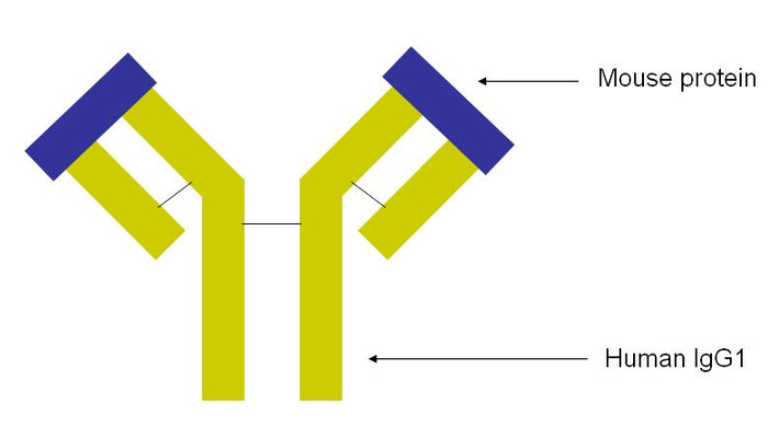 Secondary Antibodies & Conjugates