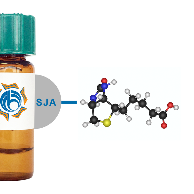 Styphnolobium japonicum Lectin (SJA) - Biotinylated